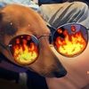 aripaw22